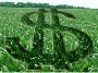 AGRICULTURA: SE SOMOS TO RICOS, POR QUE ESTAMOS TO POBRES?