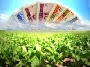 CRÉDITO RURAL: O QUE SERIA UMA GRANDE SOLUÇÃO TRANSFORMOU-SE NUMA GRANDE DECEPÇÃO.