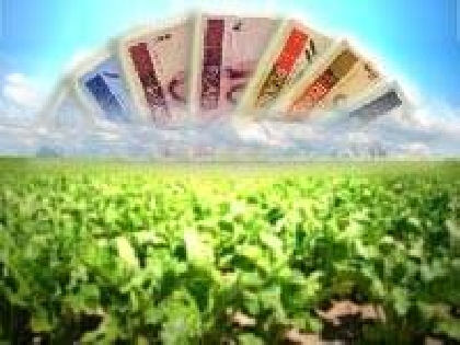 A SOLUÇÃO VEIO DO CAMPO.