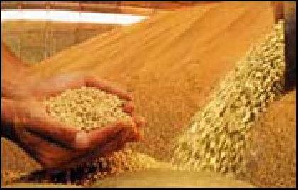 CHINA QUER QUEIMAR SUA RESERVA EM DÓLARES COMPRANDO COMMODITIES.