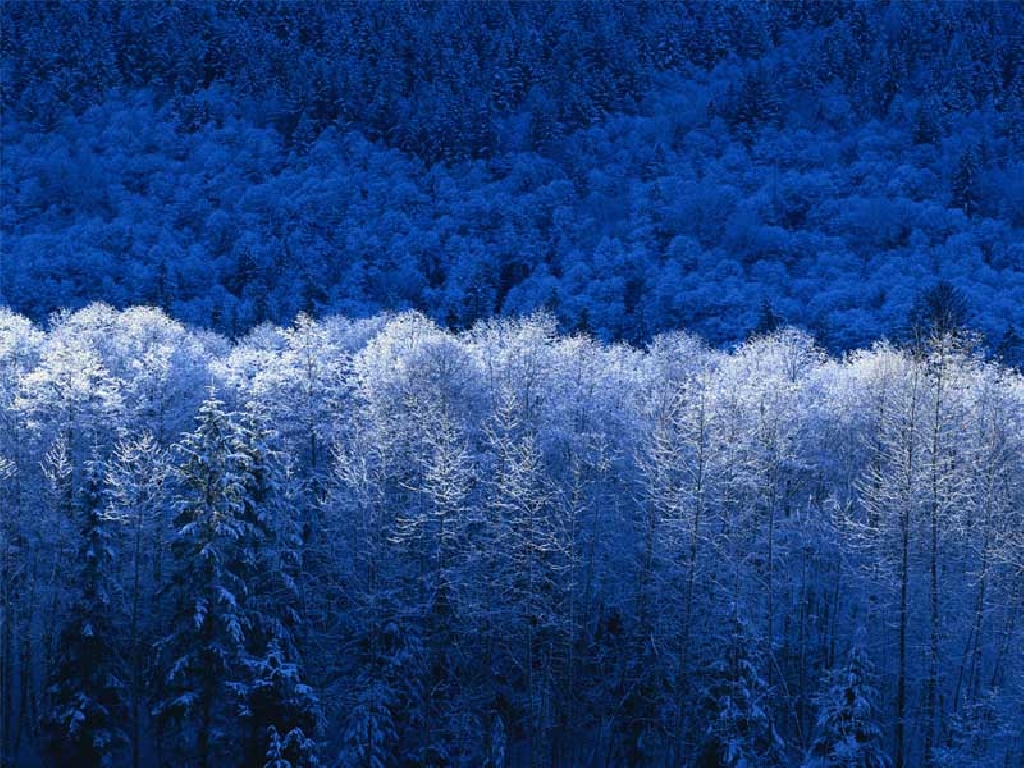 Trigo – Em Carazinho (RS), clima favorece o aparecimento de ferrugem e oídio nas lavouras.