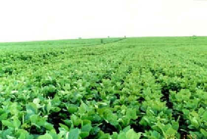 CRISE RESERVA BOAS OPORTUNIDADES AO AGRICULTOR, DIZ HOMEM DE MELO.
