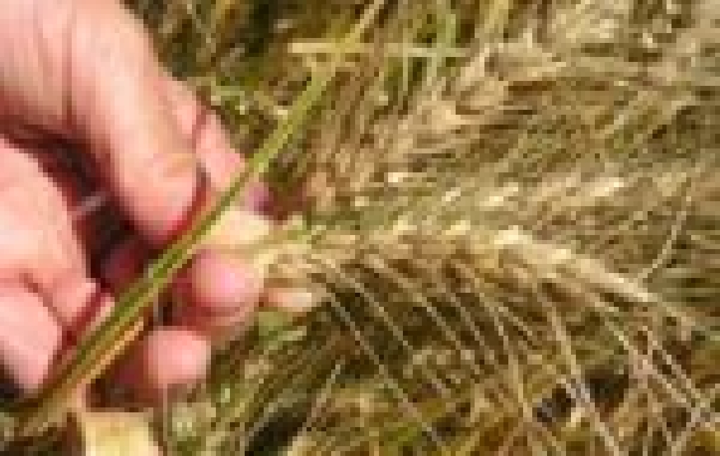 Resumo da oferta, estoques, importações e exportações de trigo brasileiras.