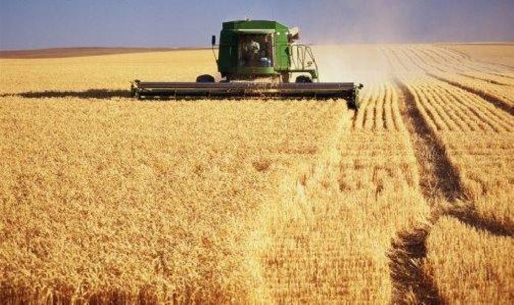 Grãos: China deve ter safra maior pelo 11º ano consecutivo.