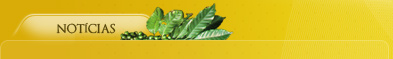 Not�cias